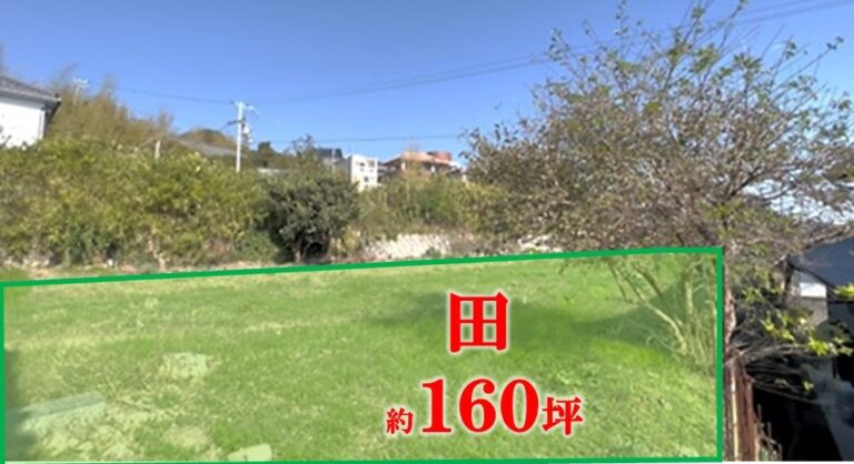 もう一枚、田 約160坪