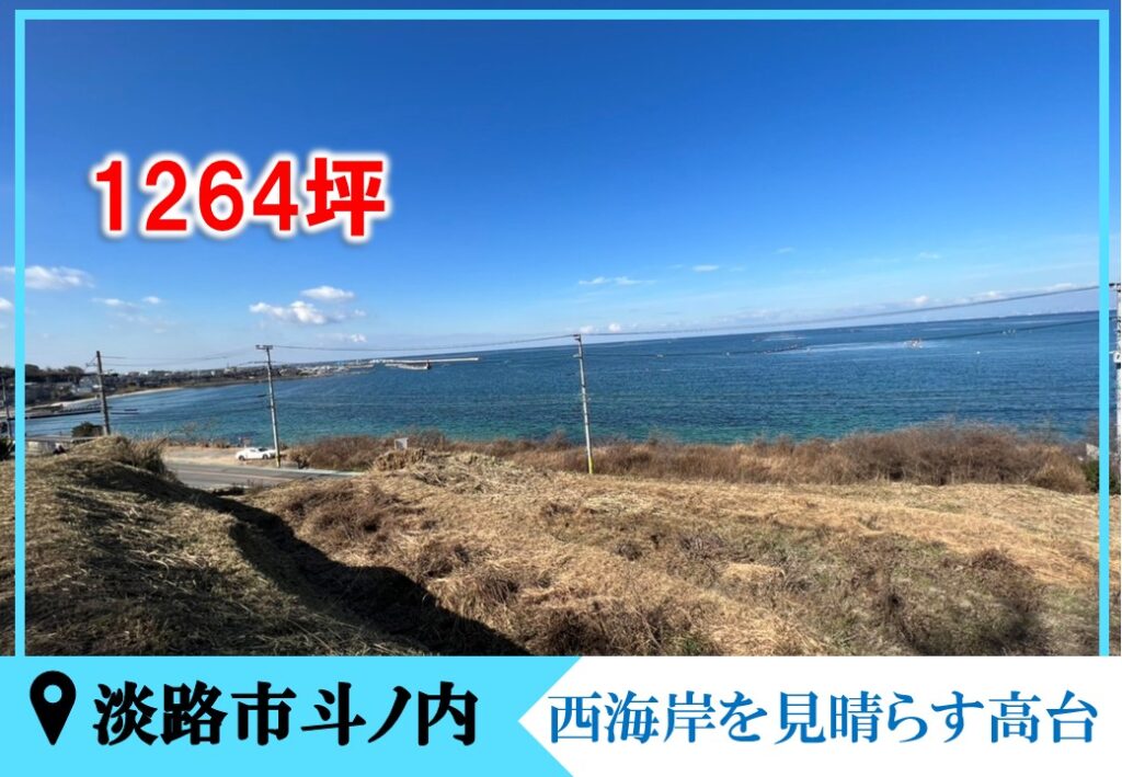 高台から見た海。手前が土地です