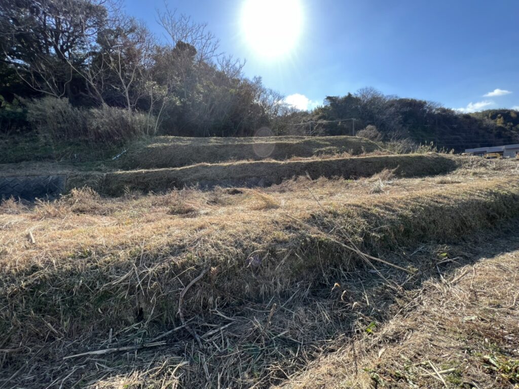 土地の内側。段差があるので、造成の計画は要ります