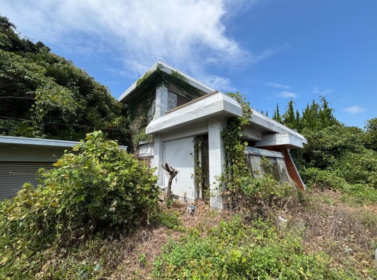 刈る前。正直に載せます