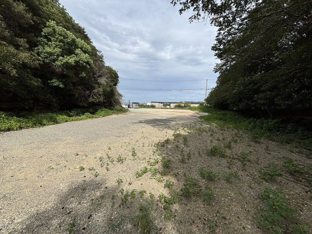 建物を建てなければ、手続きはぐっと少なくなります
