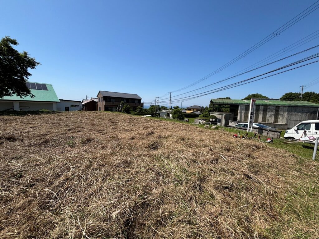 島のあちこちで見かけます。使い道が決まらないまま草が伸びていく土地は、めずらしくありません
