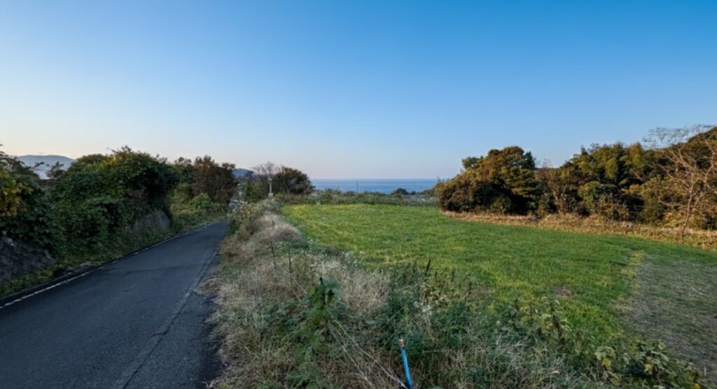 道と敷地と海。二方に道が付いているのが分かります